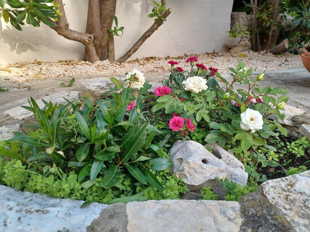 Apartmani Milena Barbat na Rabu Exterior foto